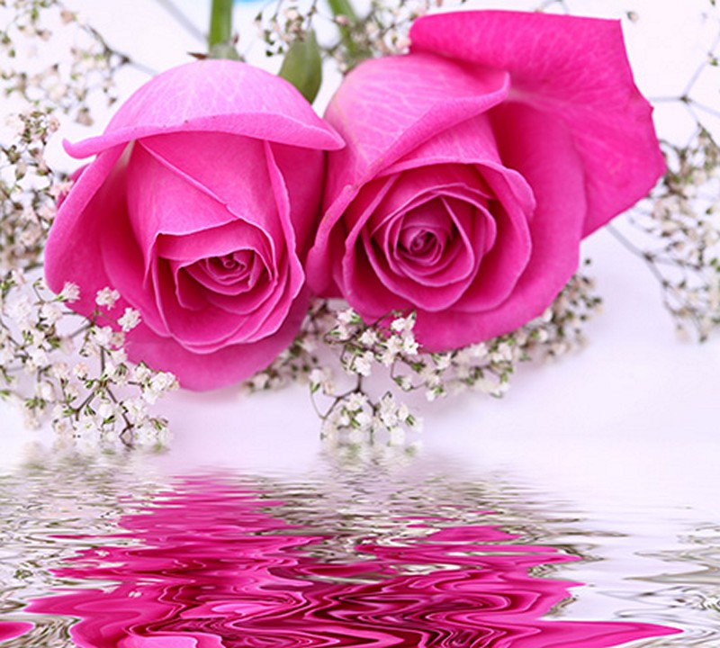 Tranh 3D hoa hồng đẹp sẽ khiến bạn bị ám ảnh về sự sống động của các đóa hoa nổi bật trên bức tranh. Từ màu sắc cho đến độ thực tế, bạn sẽ cảm thấy như thực sự đang sống giữa một khu vườn đầy hoa hồng. Hãy xem và trải nghiệm tuyệt vời mà bức tranh 3D này mang đến.