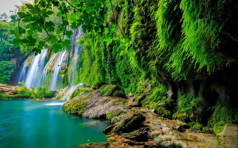 20 mẫu tranh 3d sơn thủy hữu tình đẹp nhất 2019: mã in a beautiful waterfall in the forest on a river