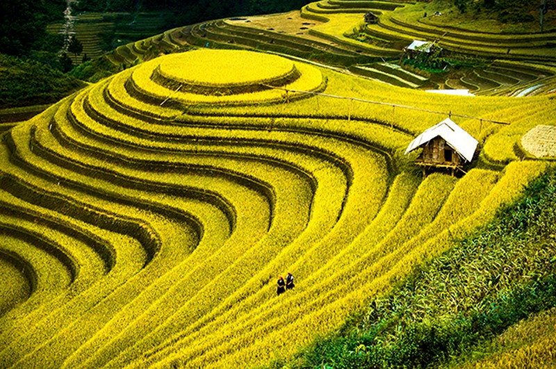 Mẫu tranh phong cảnh làng quê đơn giản đẹp nhất - Tranh làng quê Việt Nam